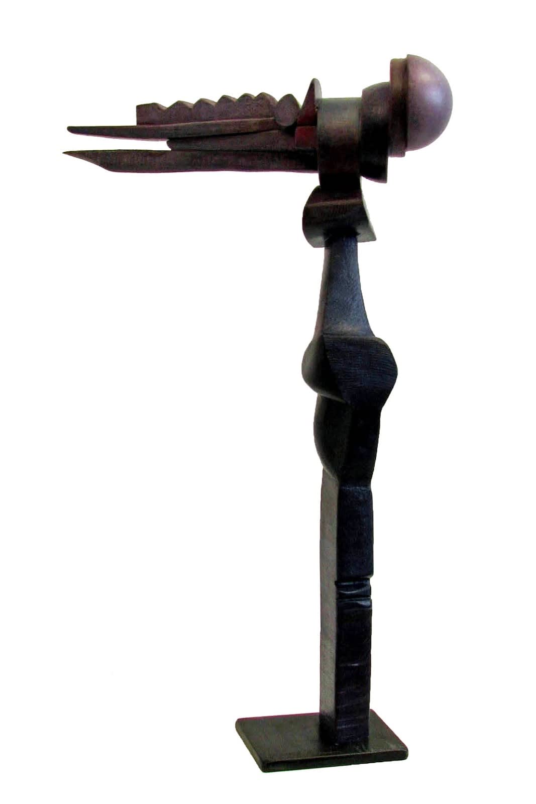 Conspicuous Carrier, 2009