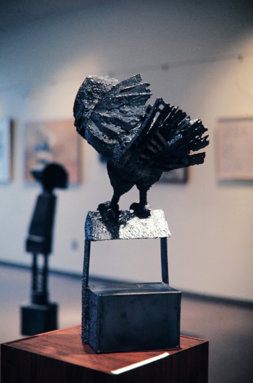 Owl, 1968
