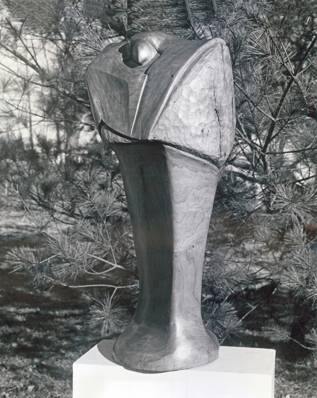 Bird, 1973