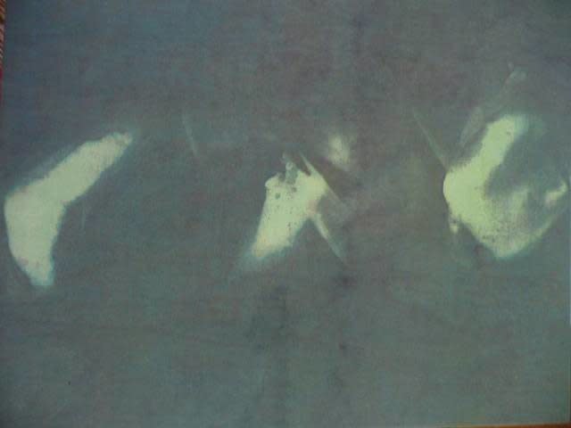 Judit Reigl, Déroulement (fragment), 1974 - 2009