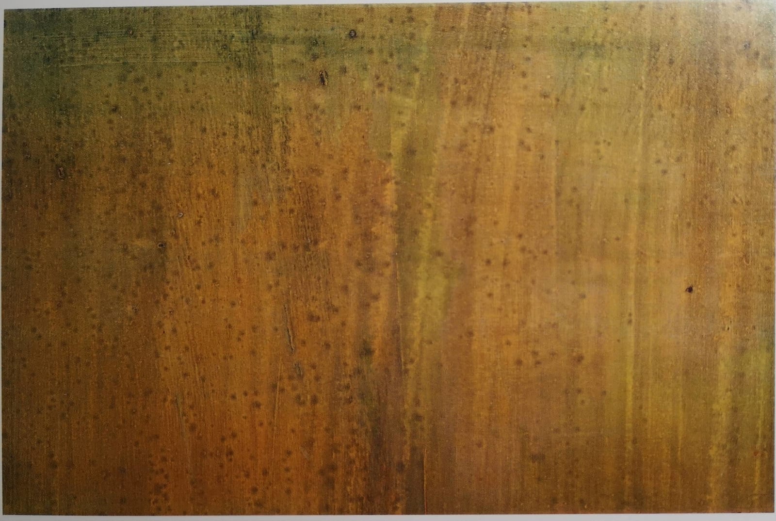 Judit Reigl, Guano, 1958-1960