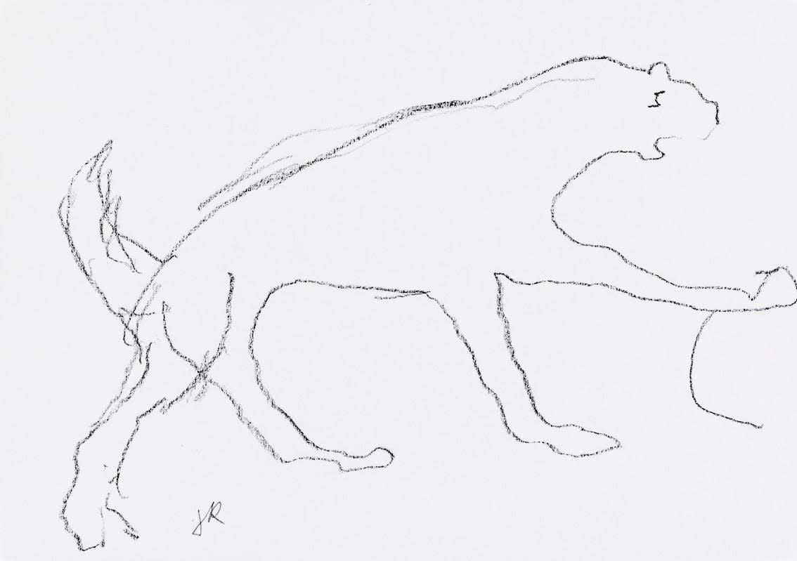 Judit Reigl, Lion, 2016-2018