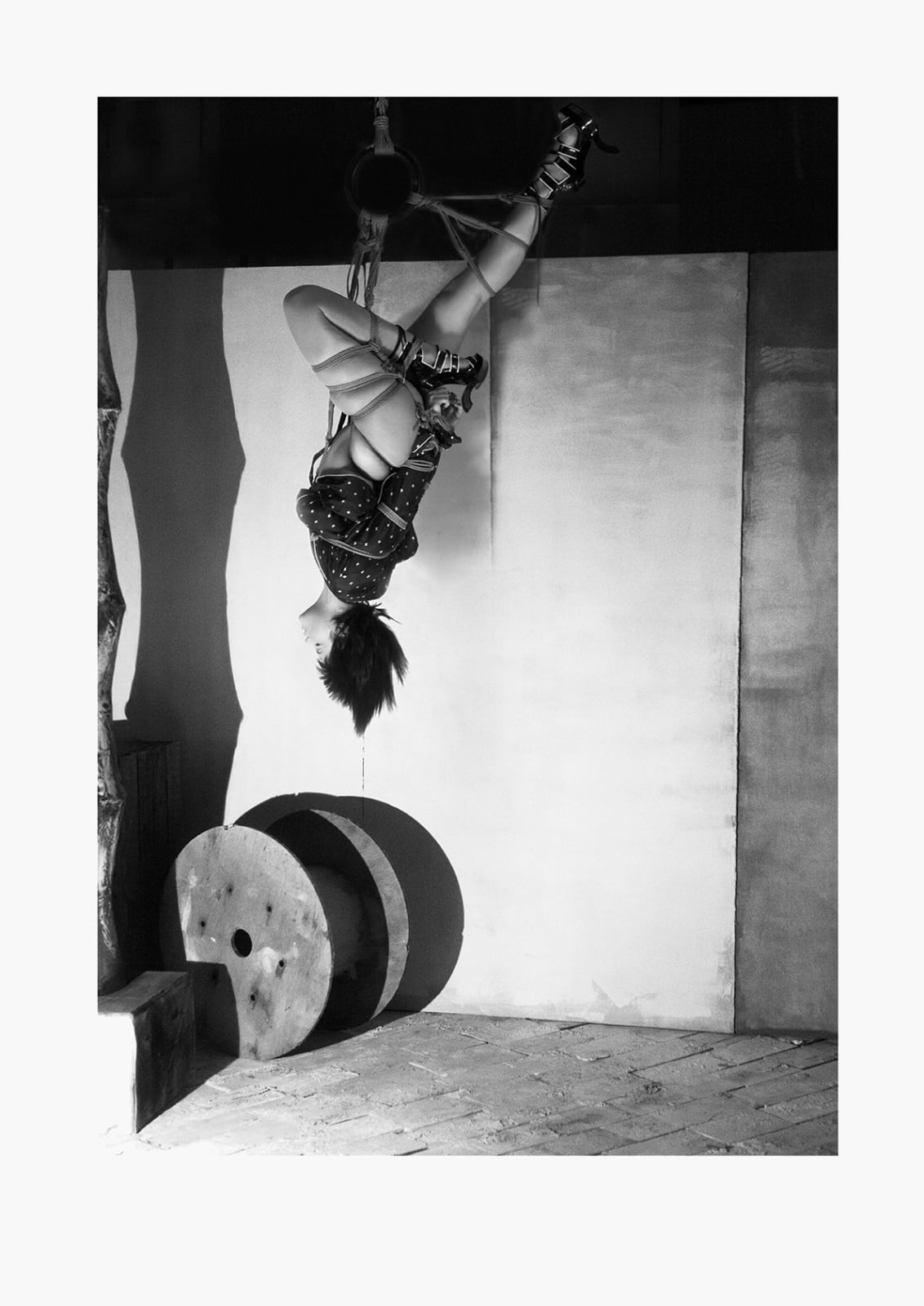 Julian Marshall, Volt Magazine (iv), 2014