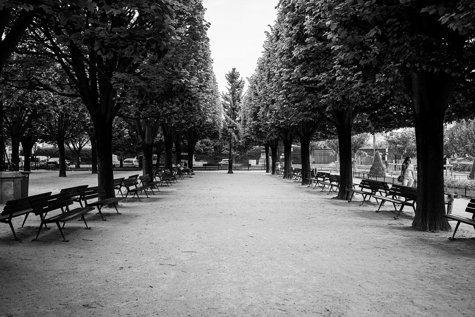 Julian Marshall, SQUARE JEAN XXII , 2016