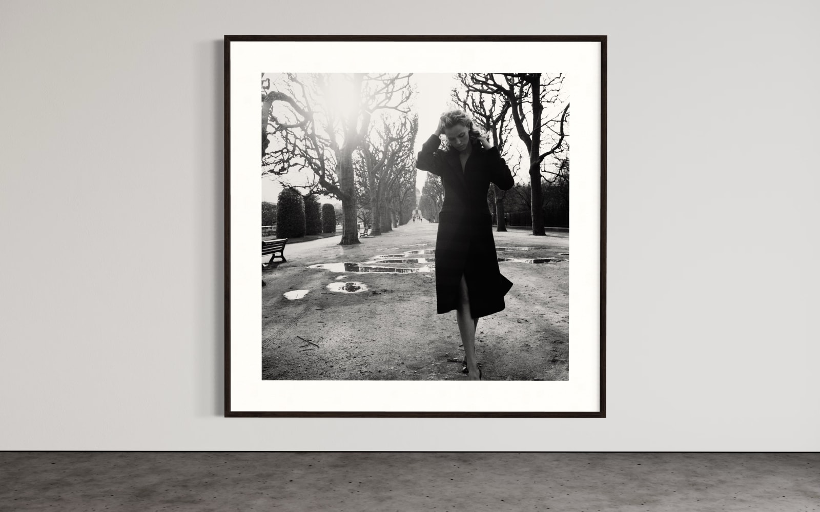 Julian Marshall, JARDIN DES PLANTES, 2000