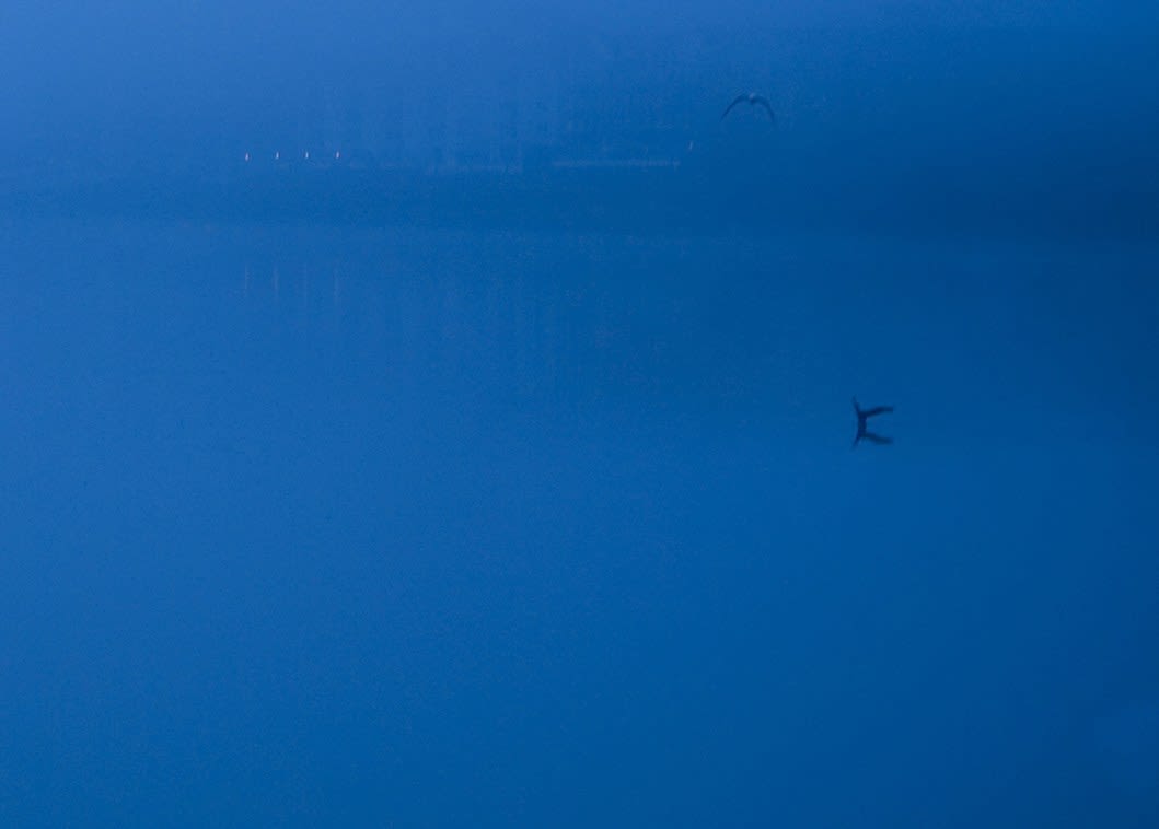 Julian Marshall, CHELSEA MIST (i), 2011