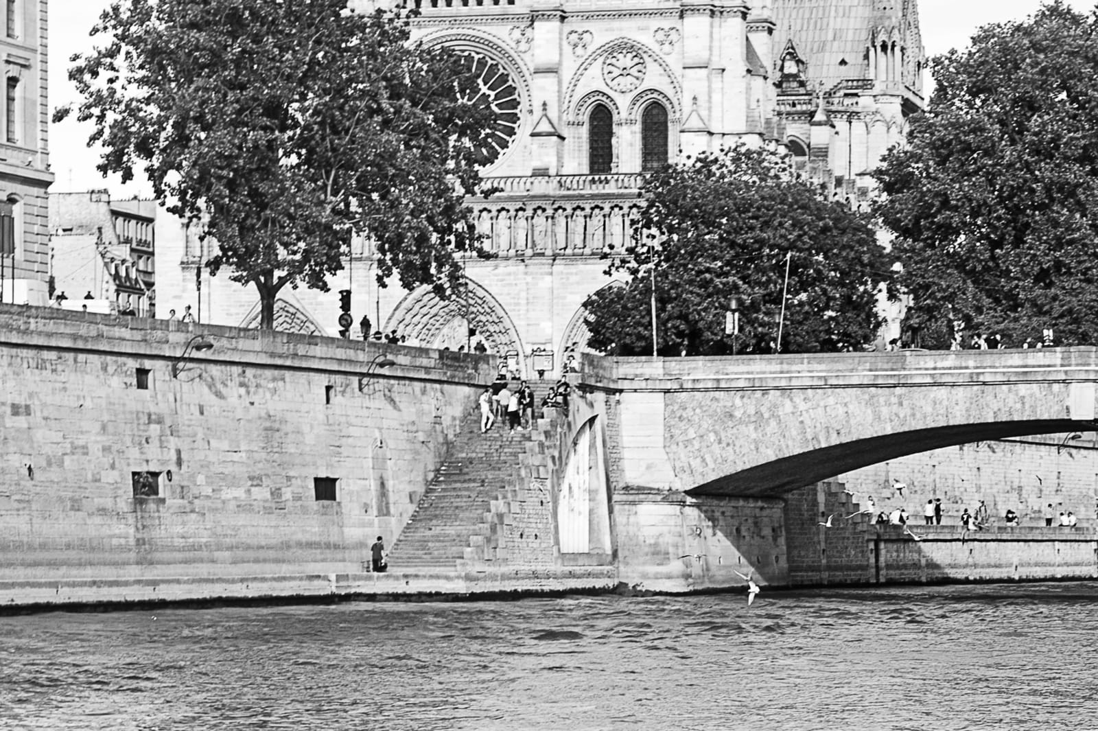 Julian Marshall, VIEW TO CATHÉDRALE NOTRE-DAME de Paris , 2016
