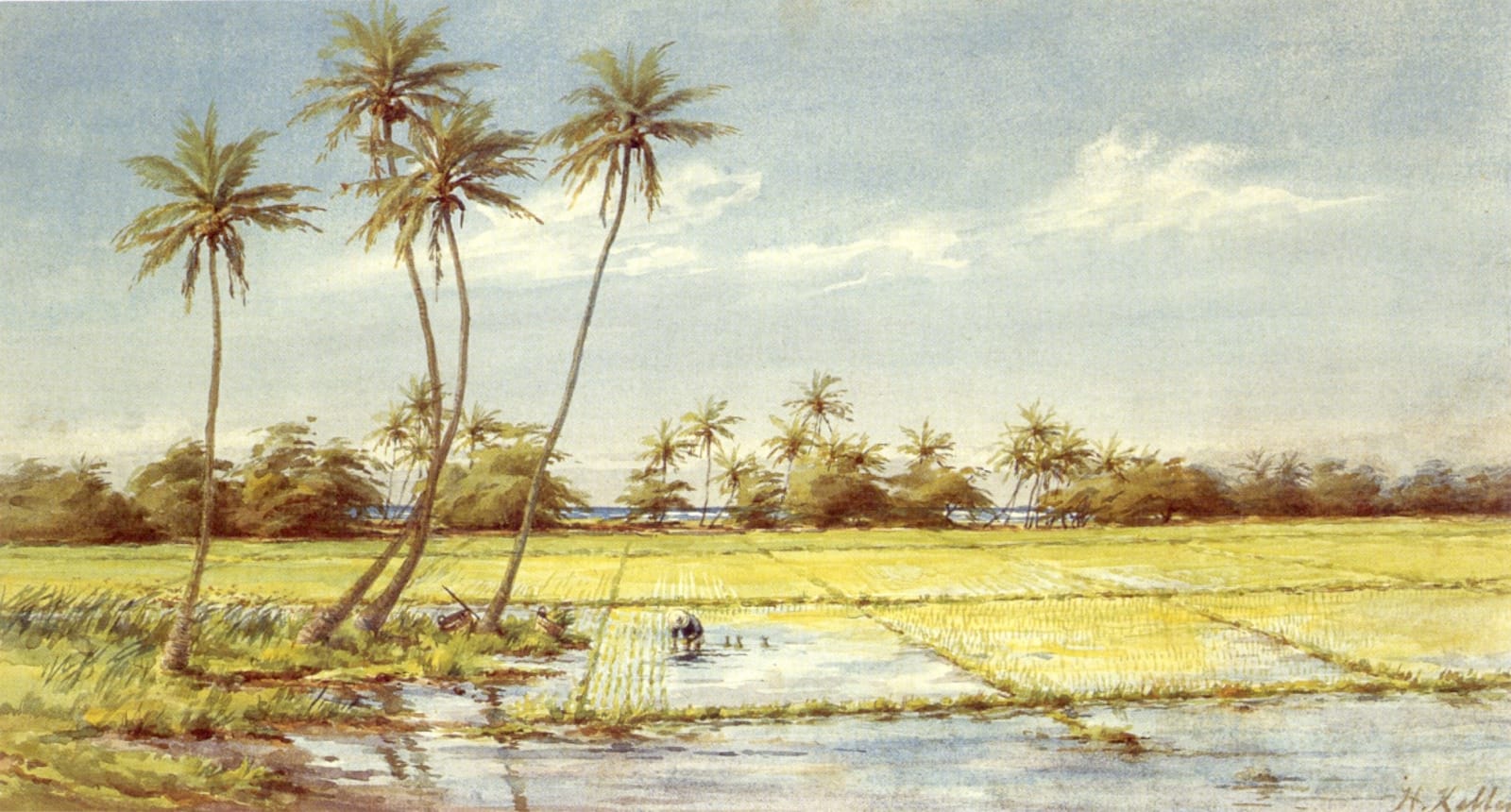 Helen Whitney Kelley, Rice Paddies, 1890