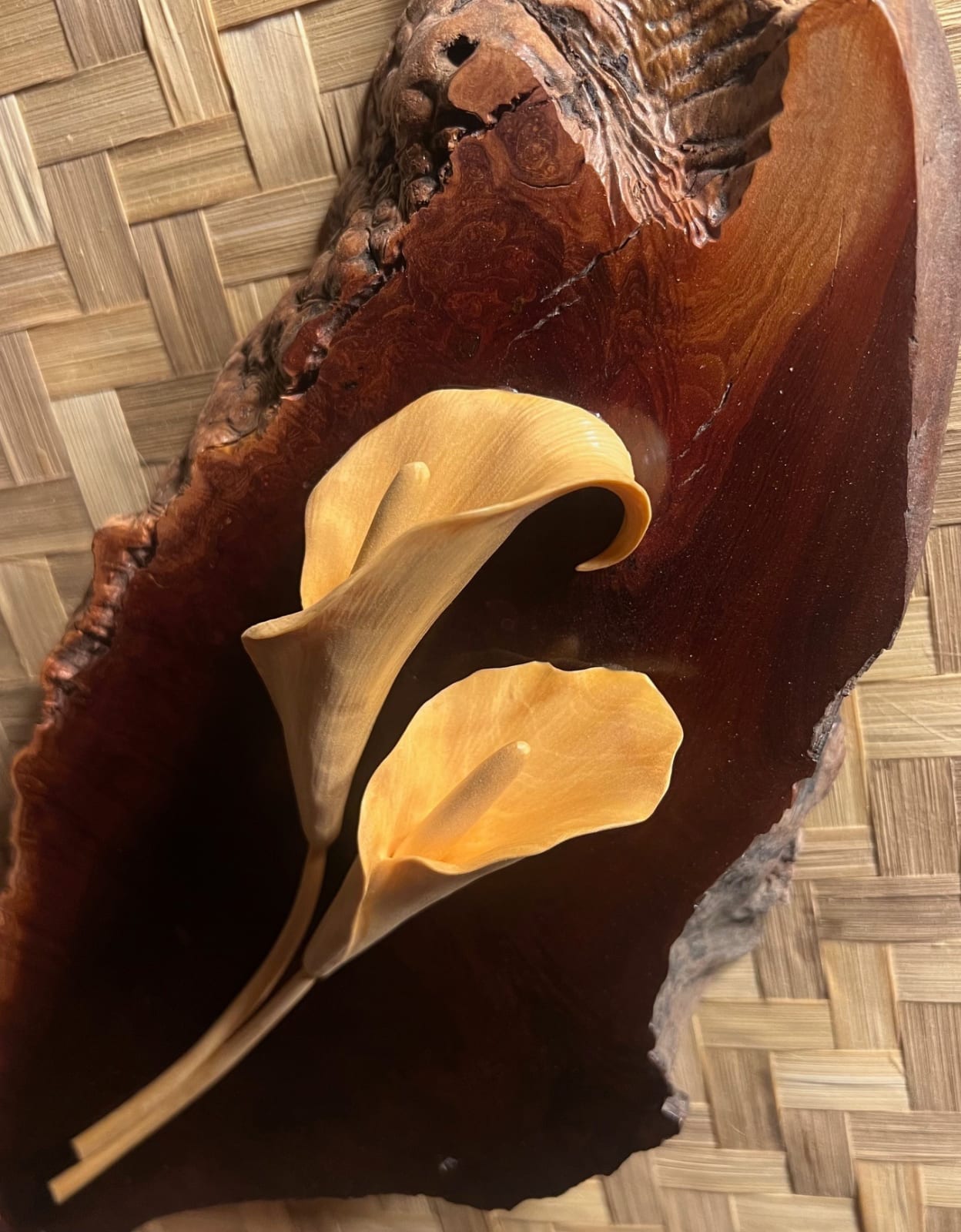 Scott Zuziak, Calla Lily