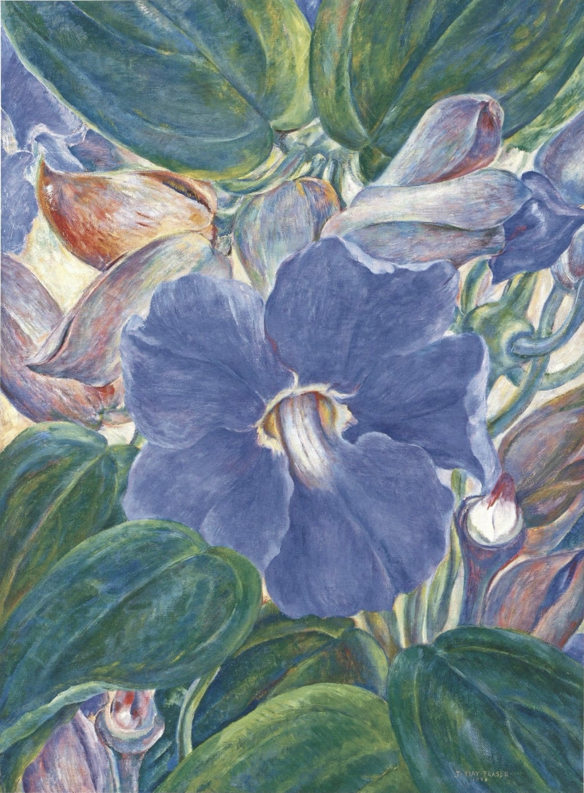 Juliette May Fraser, <i>Koali</i> (Morning Glory), 1938
