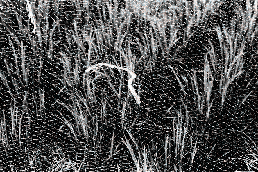 Lo Lai Lai Natalie, Restless I, 2022