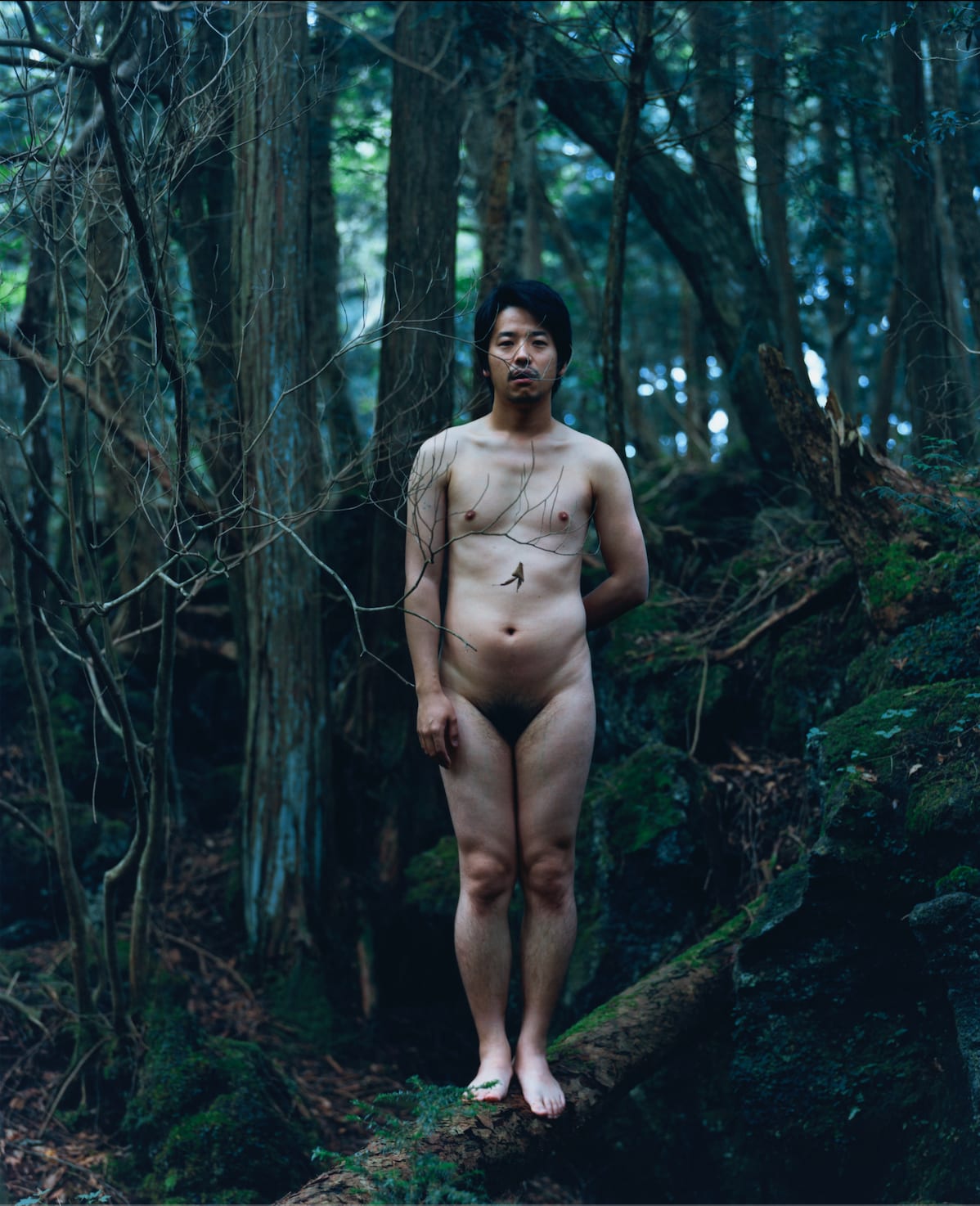 Suzuki Shin, A Pocketful of Suns - Before, 2012