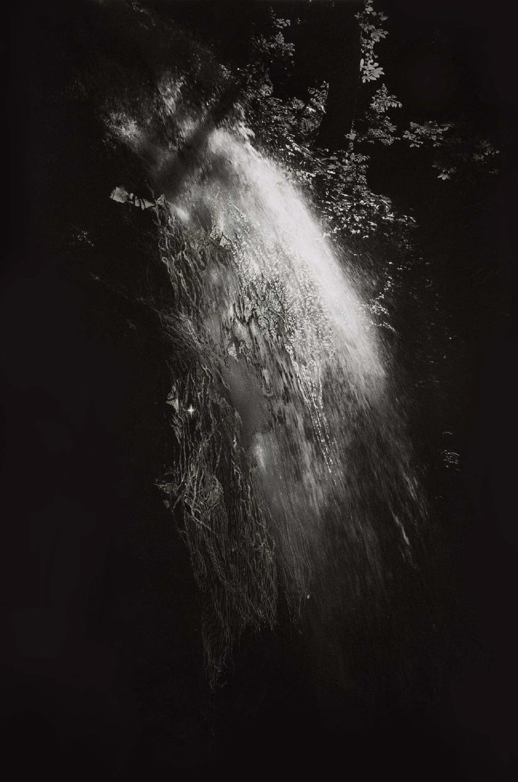 Wai Pong Yu, A Golden Bough 3, 2019