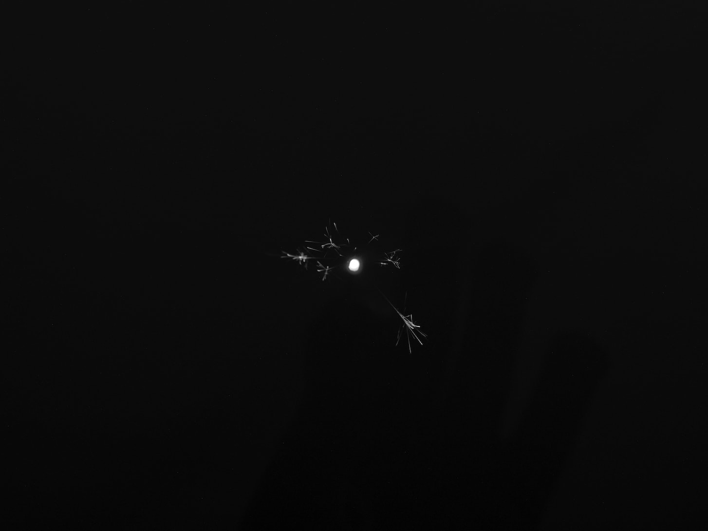 Suzuki Shin, Untitled, 2023