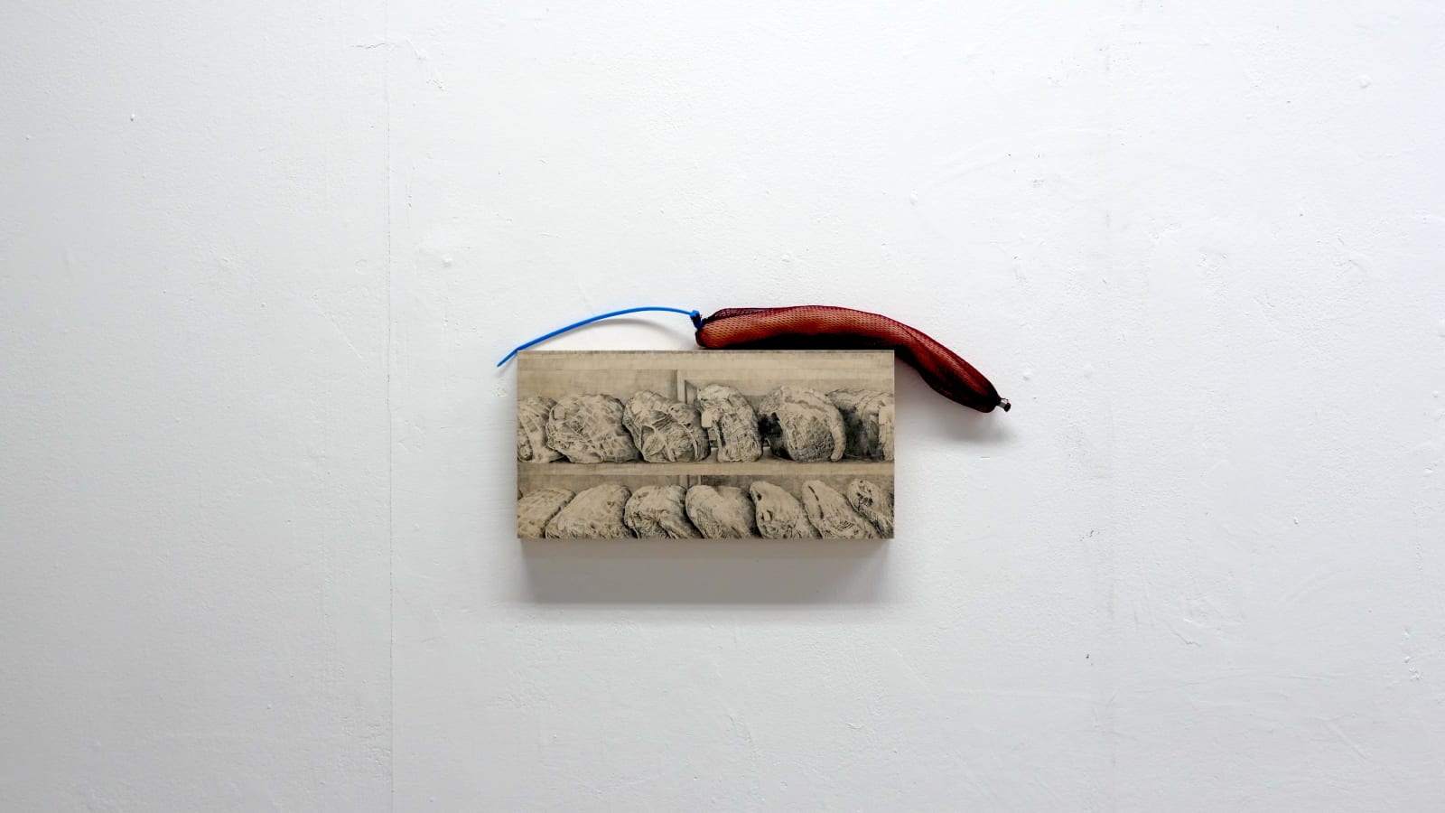 Moses Tan, Hiding the sausage, 2025