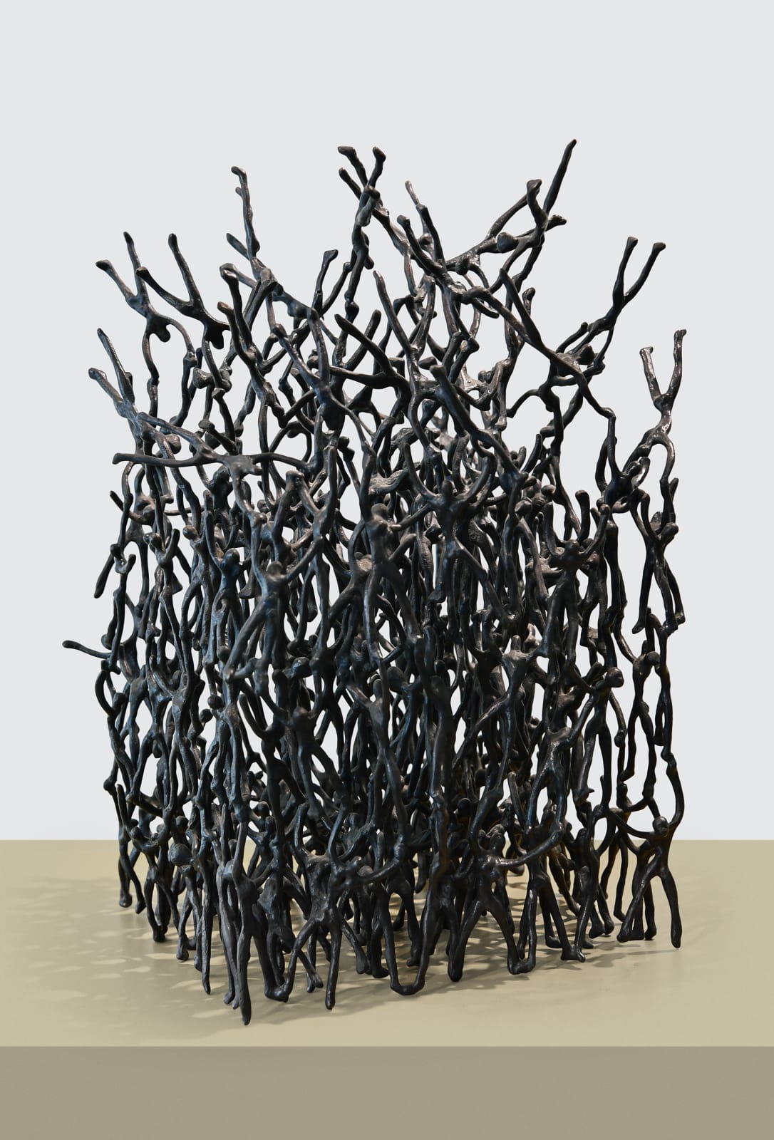 K S Radhakrishnan, Dissolving a Cubical Order, 2015