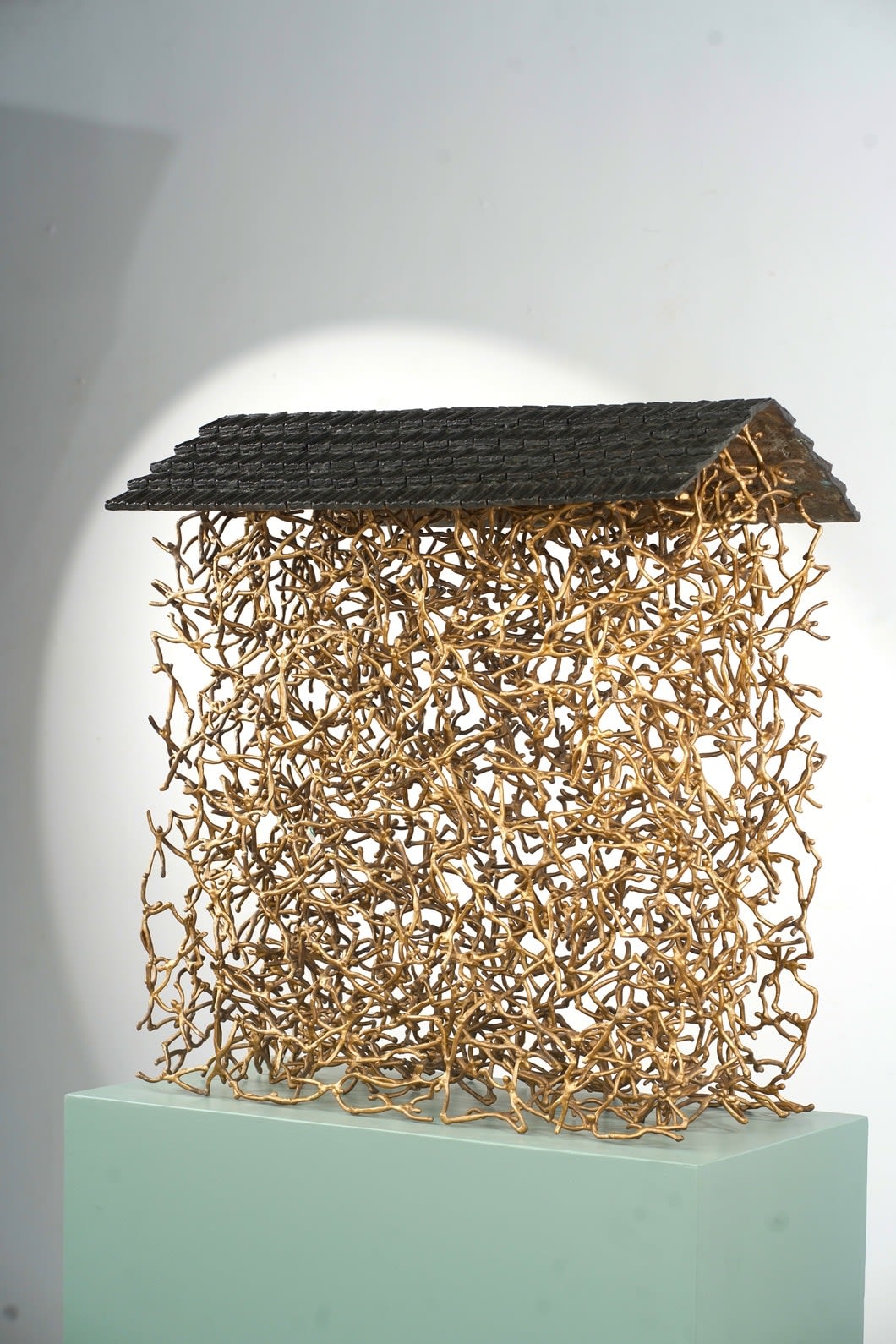 K S Radhakrishnan, The Home is Us, 2024