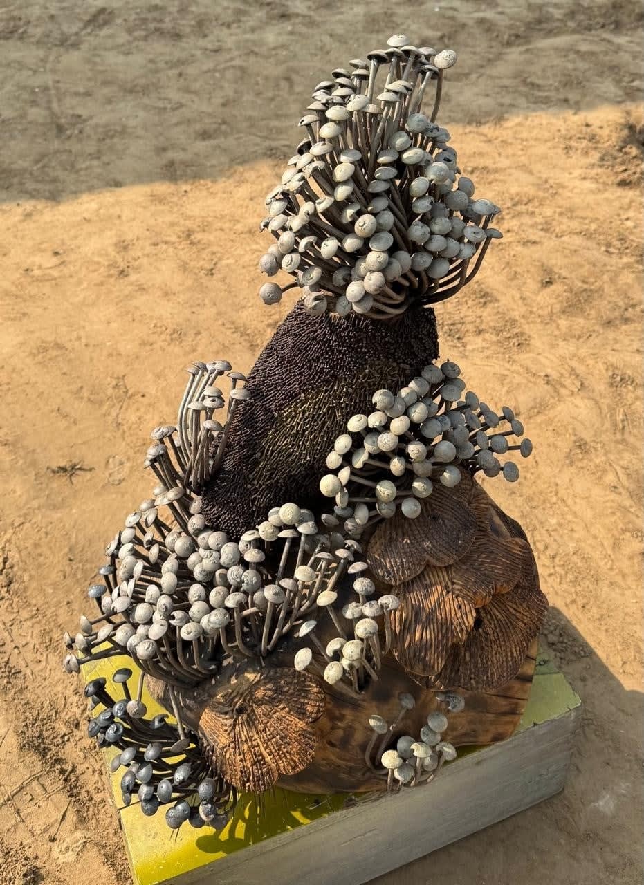 Mayadhar Sahu, Village Mushroom