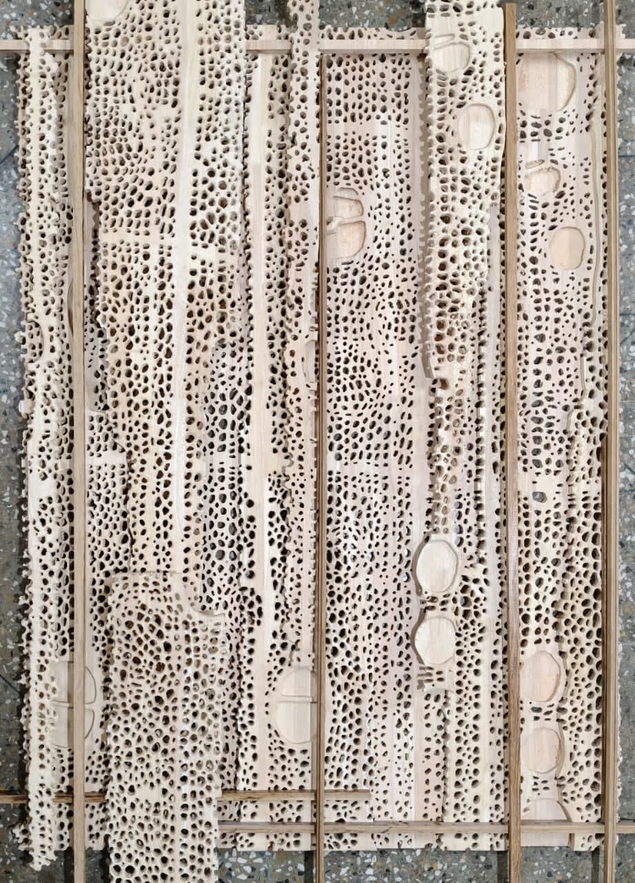 Debiprasad Bhunia, Structures That Almost Hold, 2026