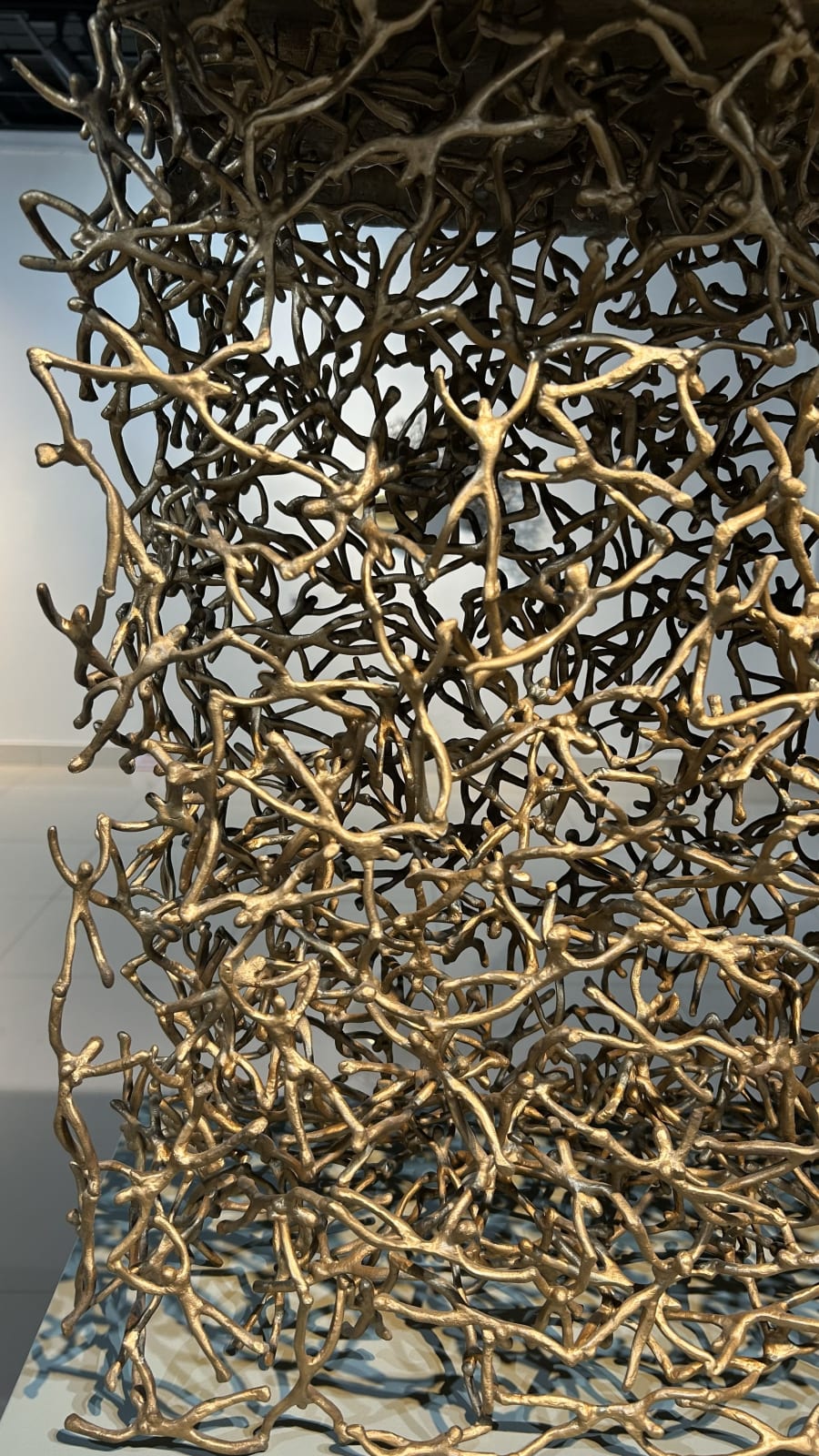 K S Radhakrishnan, The Home is Us, 2024