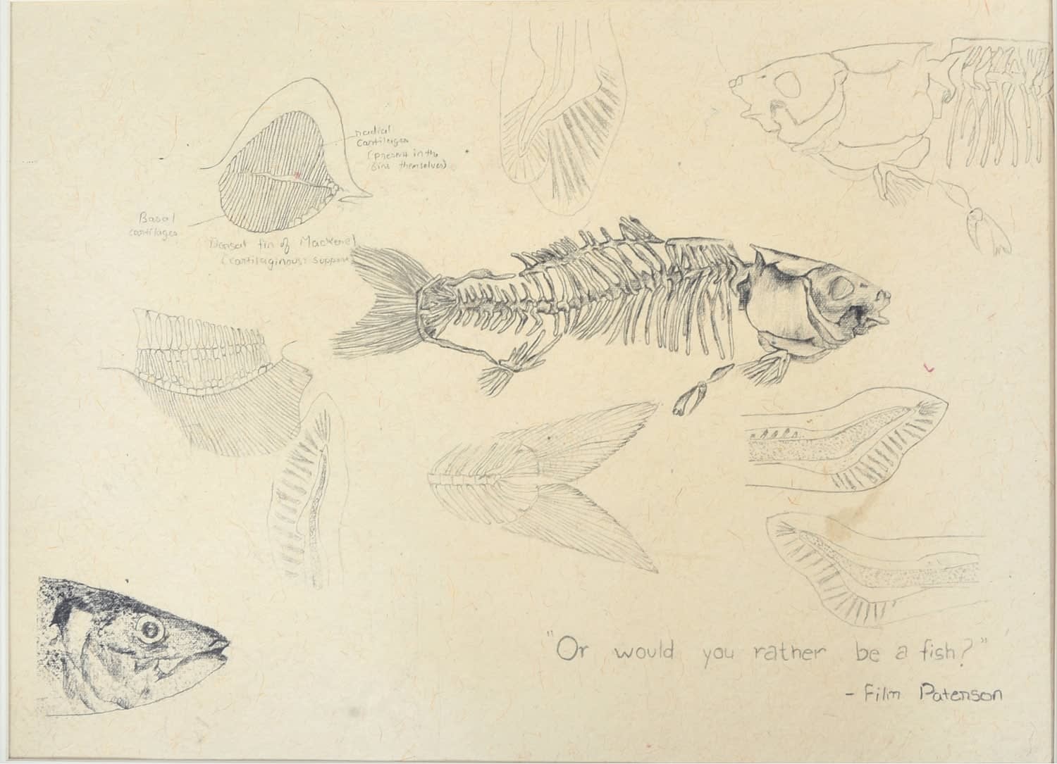 Krupali Kathiriya, S3