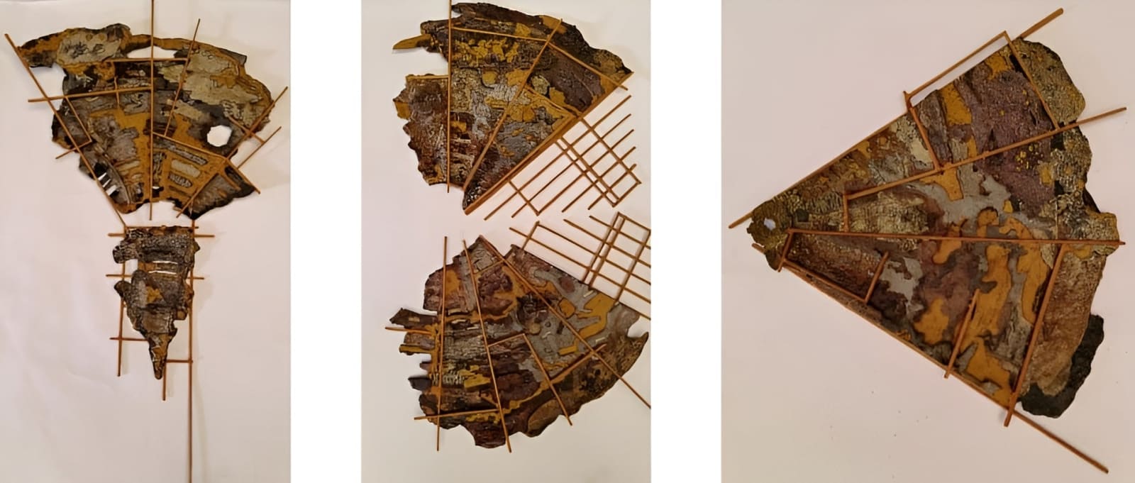 Debiprasad Bhunia, Coexistence Insect Architecture, 2025