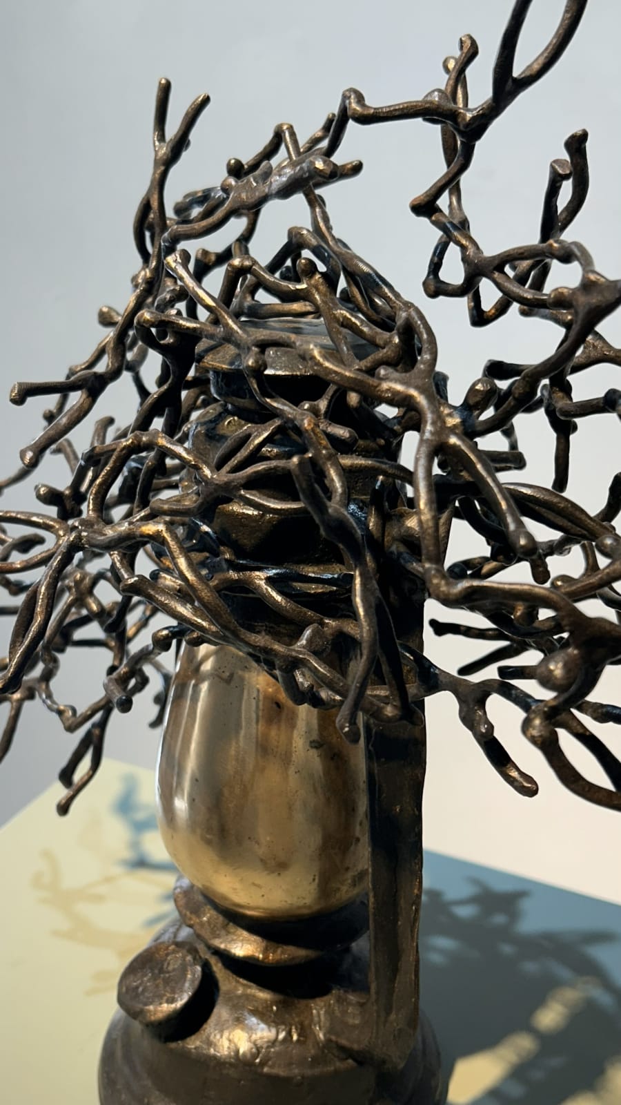 K S Radhakrishnan, Moths, 2025