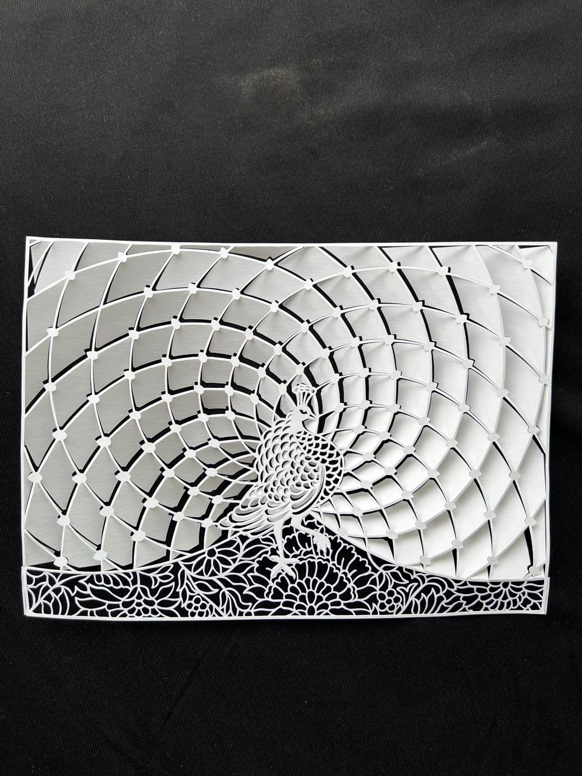 Parth Kothekar, Heritage Series