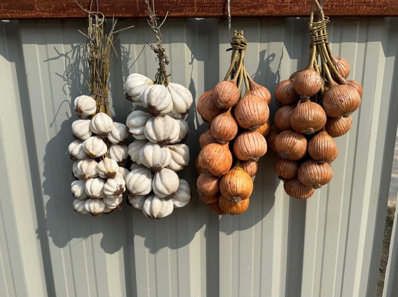 Mayadhar Sahu, Village Market