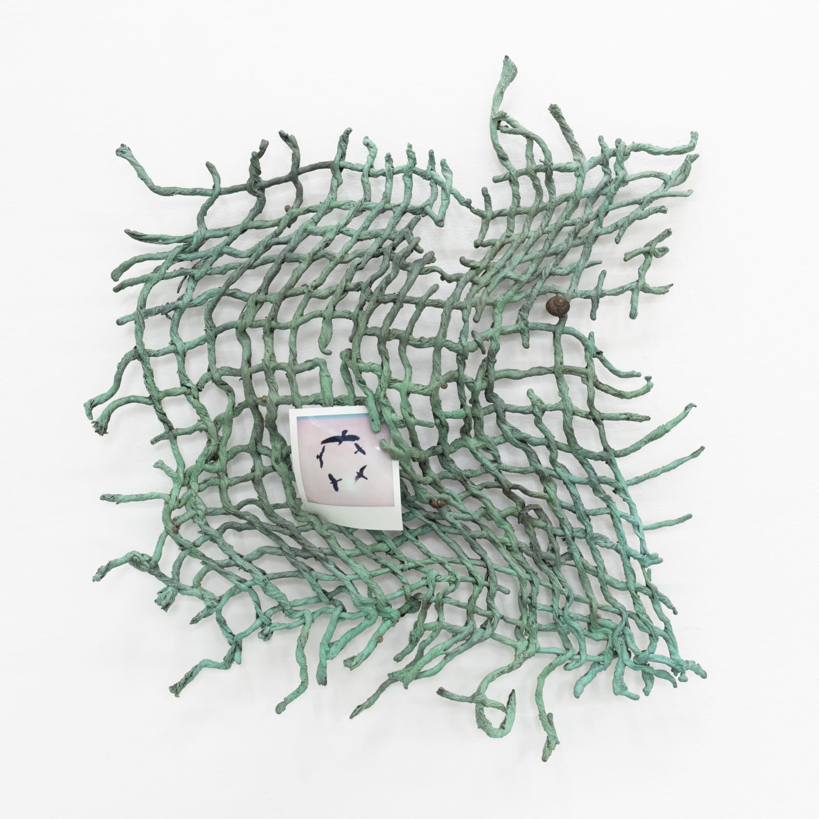 Maya Hottarek, Carrier net, 2025