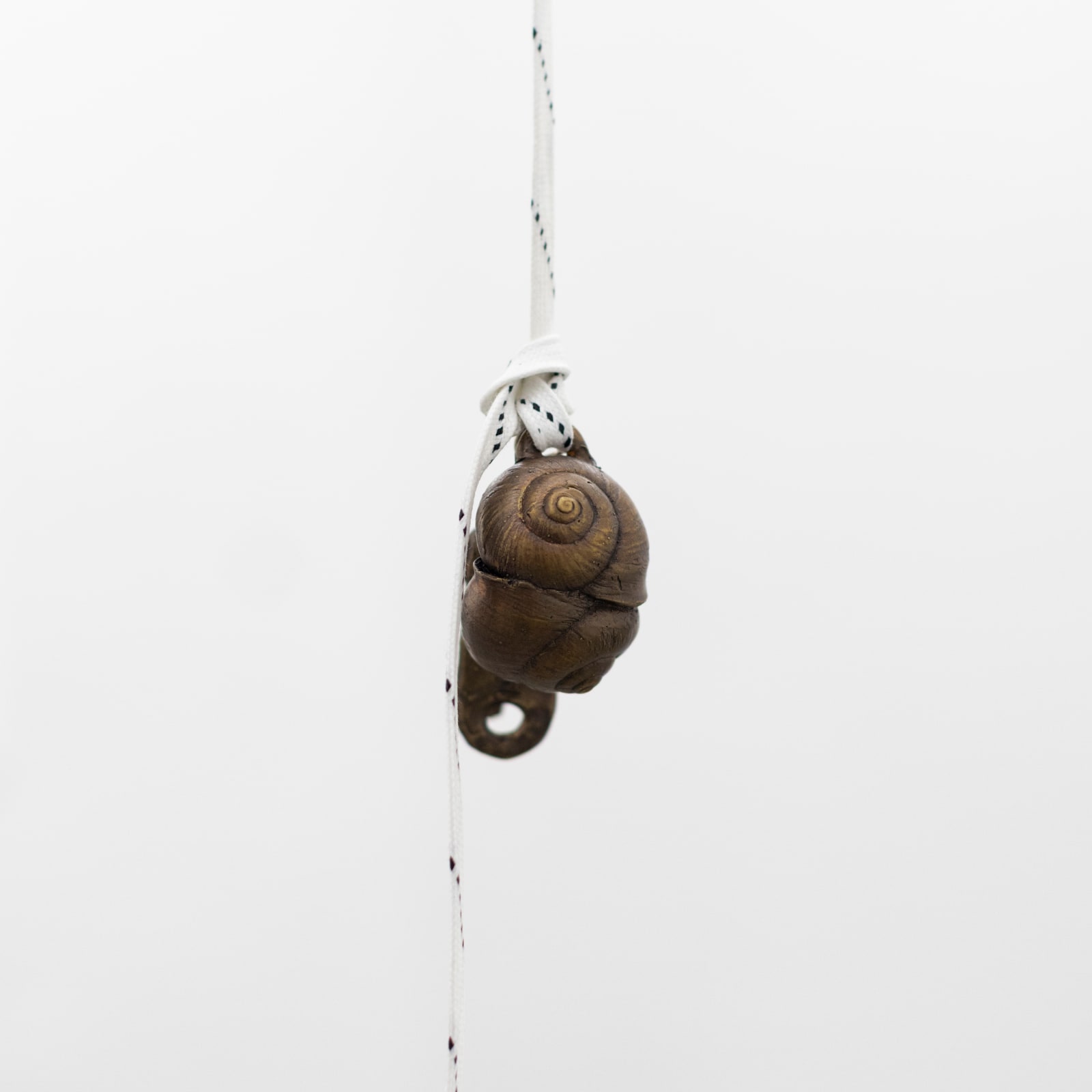 Maya Hottarek, Snail oracle, 2025
