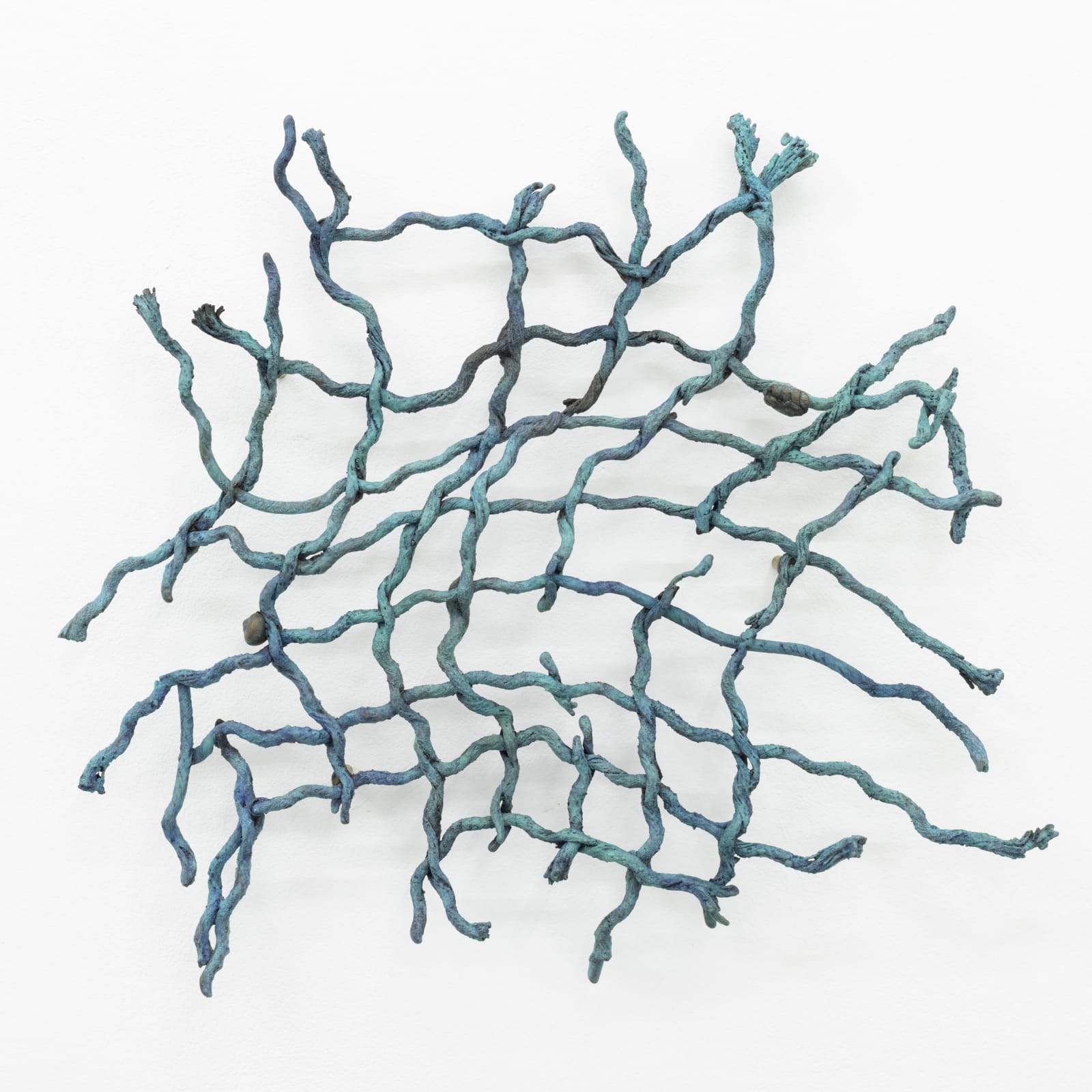 Maya Hottarek, Snail math, 2025