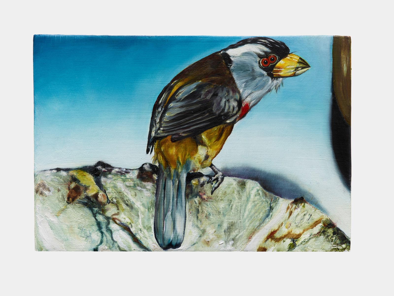 Léopold Rabus, oiseau z, 2022