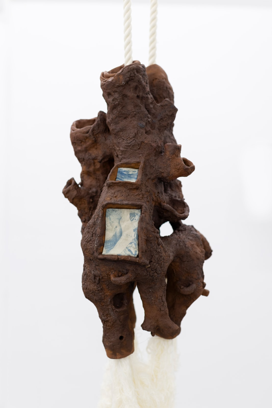 Maya Hottarek, Neokaryotes, 2023