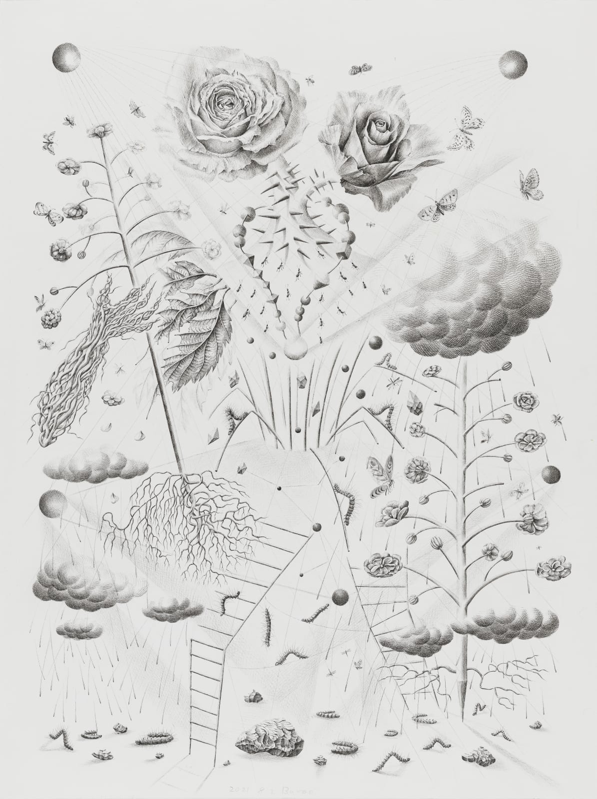 Barao Hanno, untitled, 2021