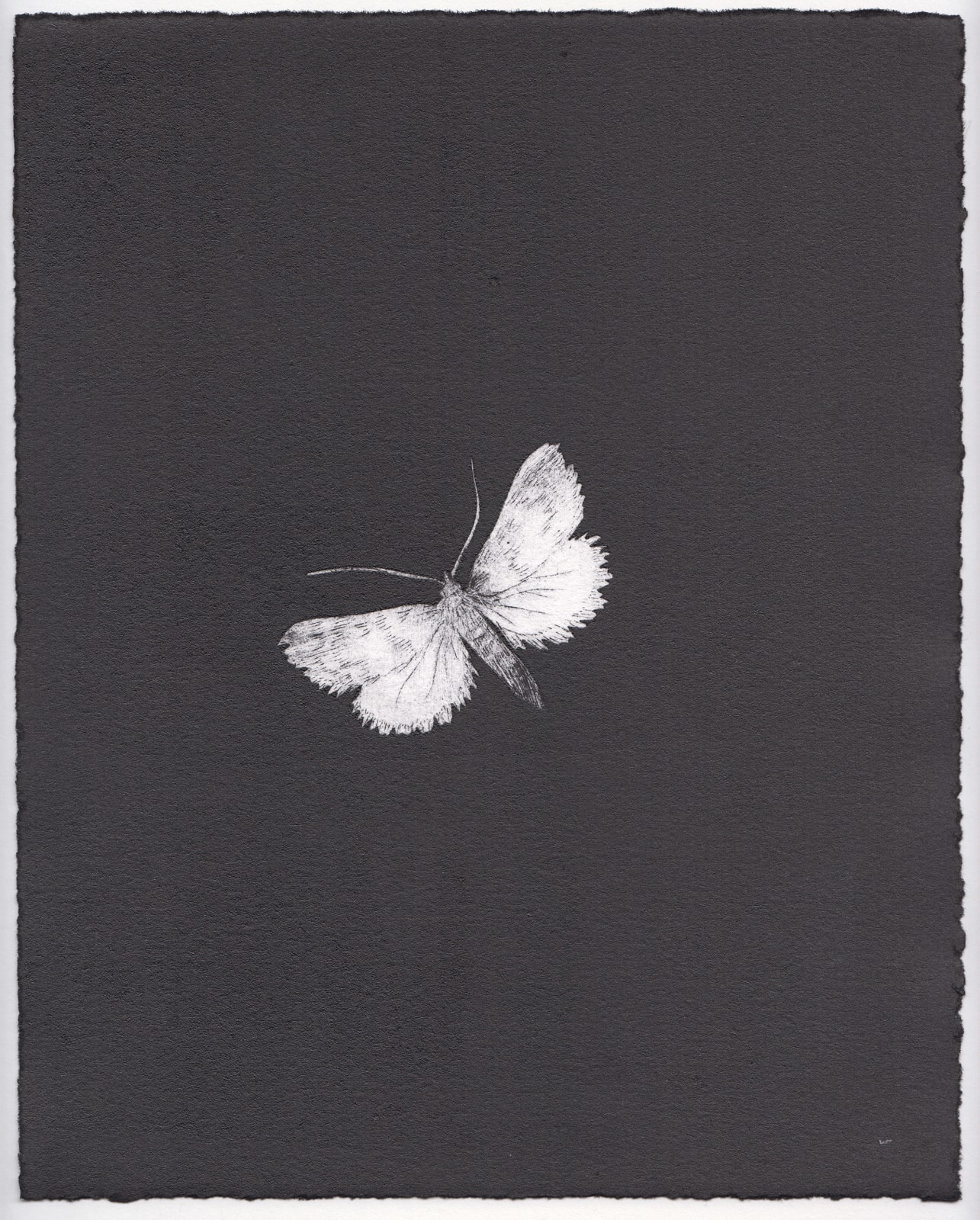 Camilla Taylor, Eclipse XIX, 2022