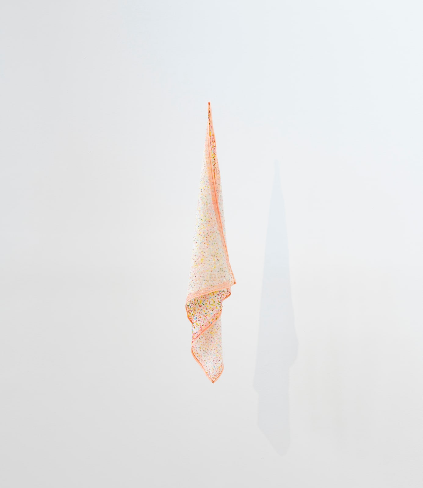 Naoyo Fukuda, アイスハーケン、そしてアイリス , An Ice Piton, and an Iris, 2018-2024