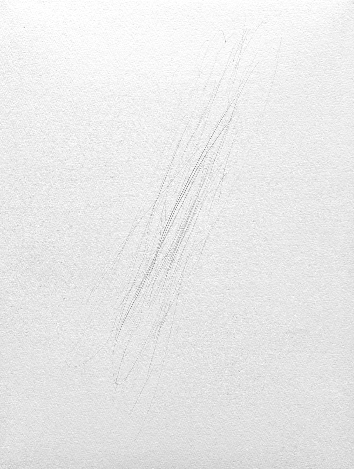 Eri Takayanagi, 運動, 2024