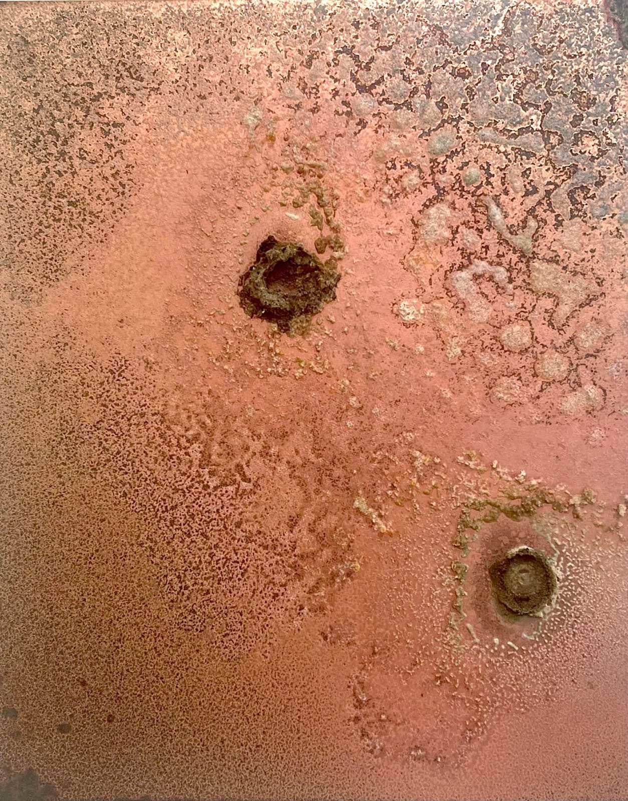 Karl Jonathan Sandegård, Selfportrait respiration and perspiration 12/6-2/7/2025, 2025