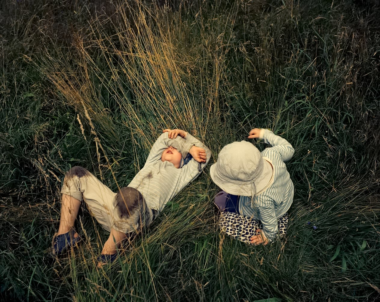 Joakim Eskildsen, (Home Series ) High Grass