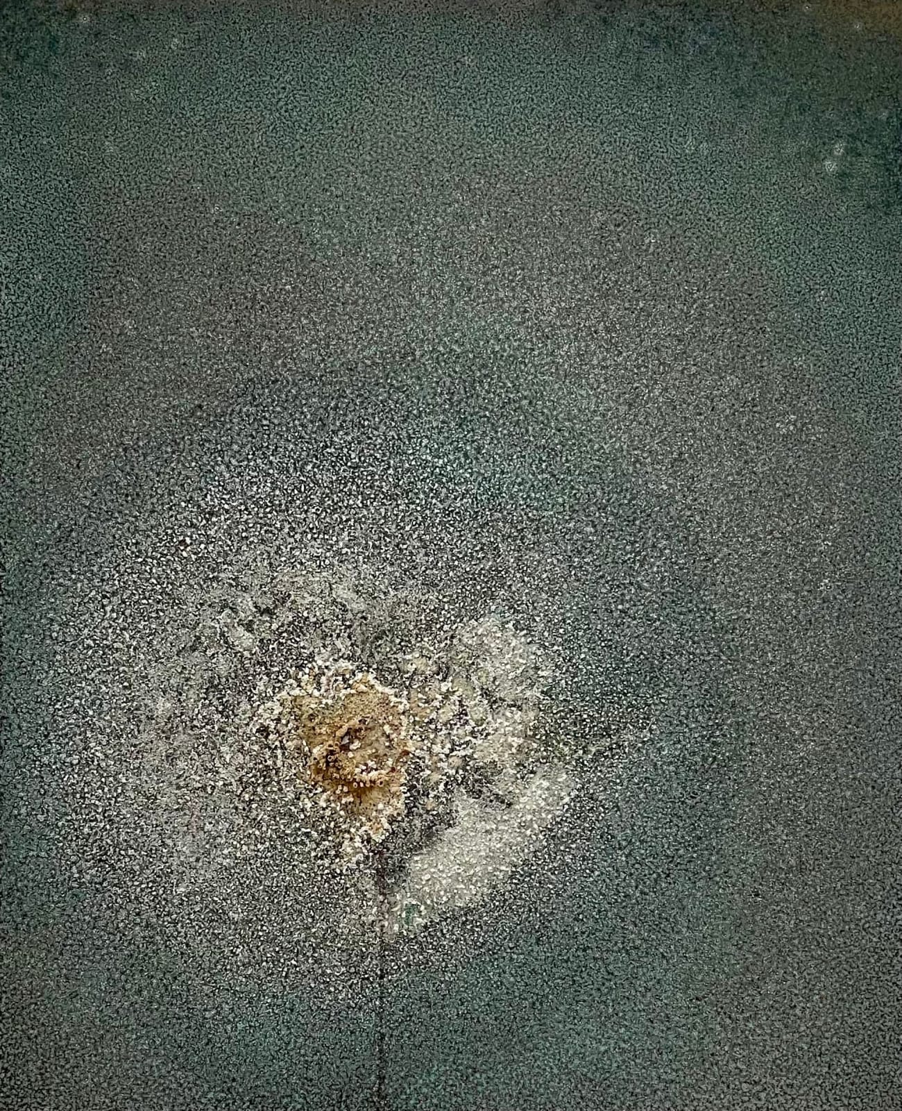 Karl Jonathan Sandegård, SELF-PORTRAIT, RESPIRATION AND PERSPIRATION 09/06/2017-30/06/2017,, 2017