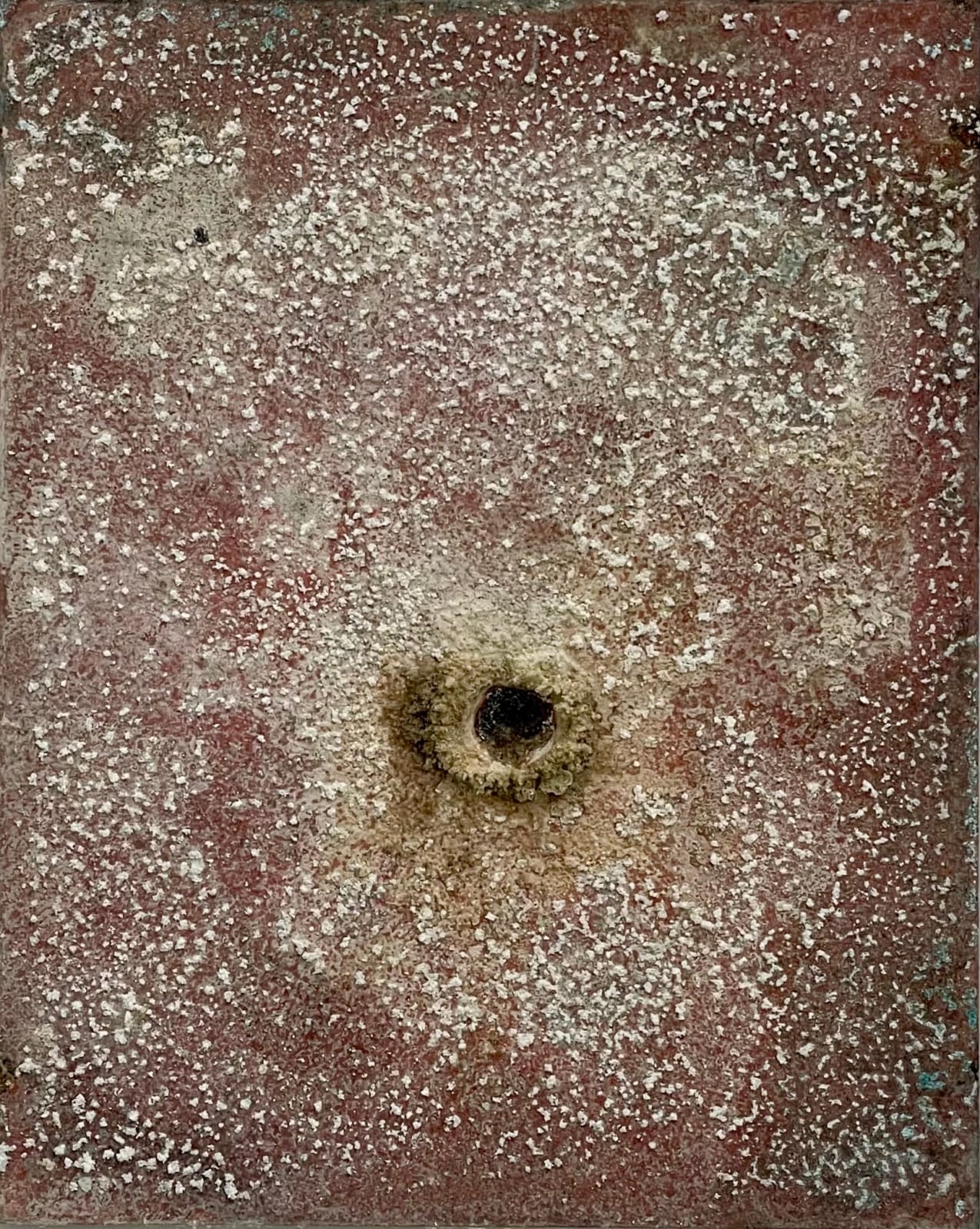Karl Jonathan Sandegård, SELF-PORTRAIT, RESPIRATION AND PERSPIRATION 29/03/2018 - 08/07/2018, 15/01/2019-24/01/2019,, 2019