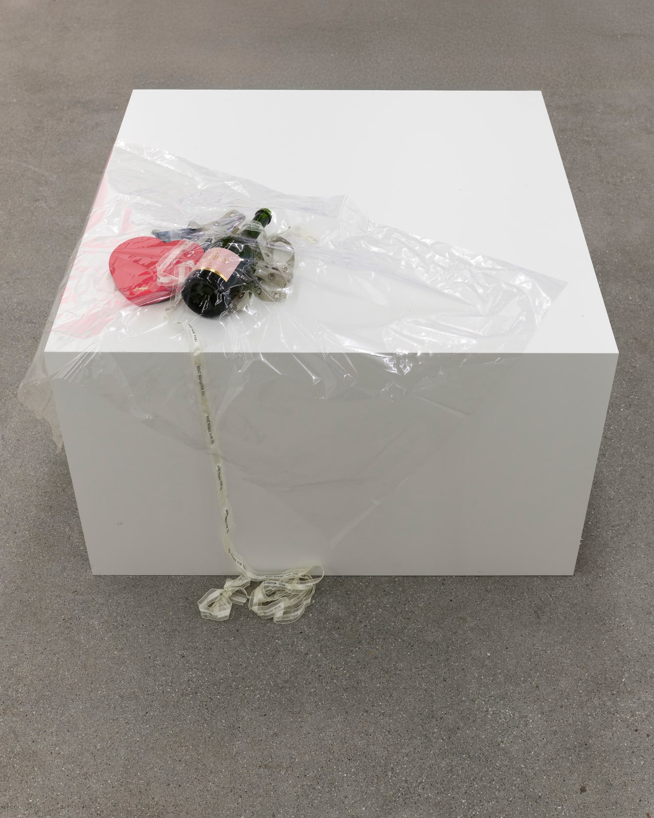 Jasmine Gregory, Conscious Uncoupling, 2025