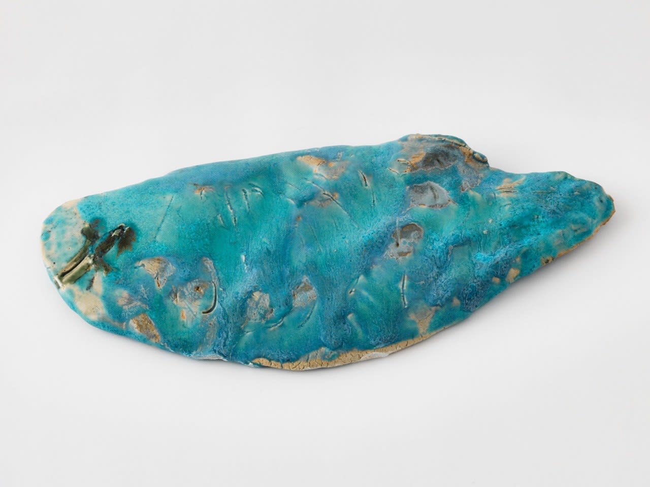 Simone Fattal, Fish, 2015