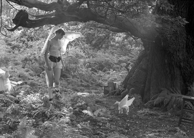 Rose English, Pegasus, 1975