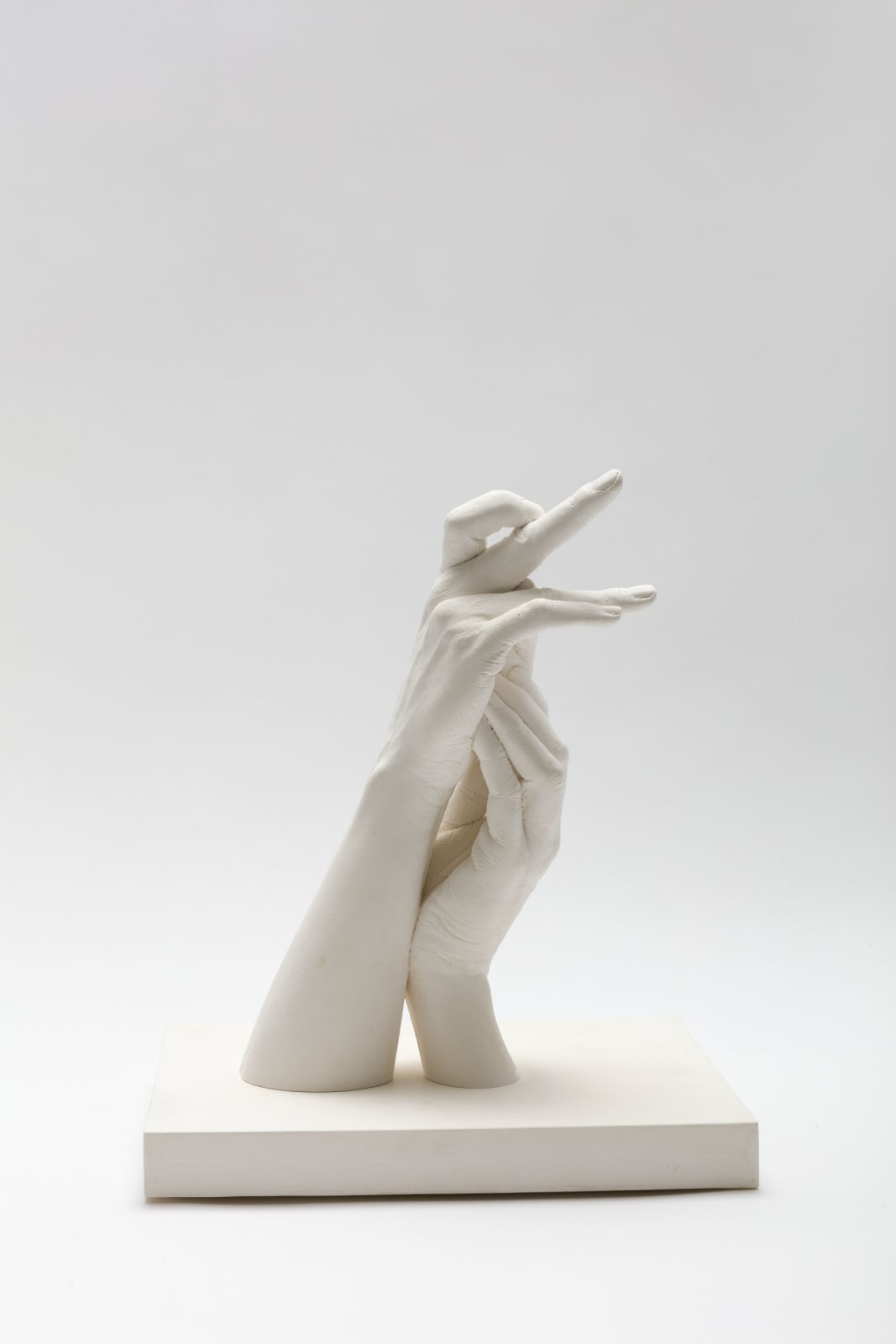 Marcus Coates, Labrador Duck, 2019