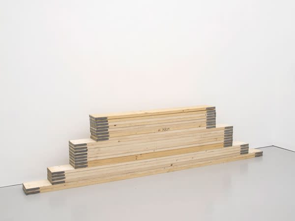 Marcus Coates, The Albatross Species, 2012