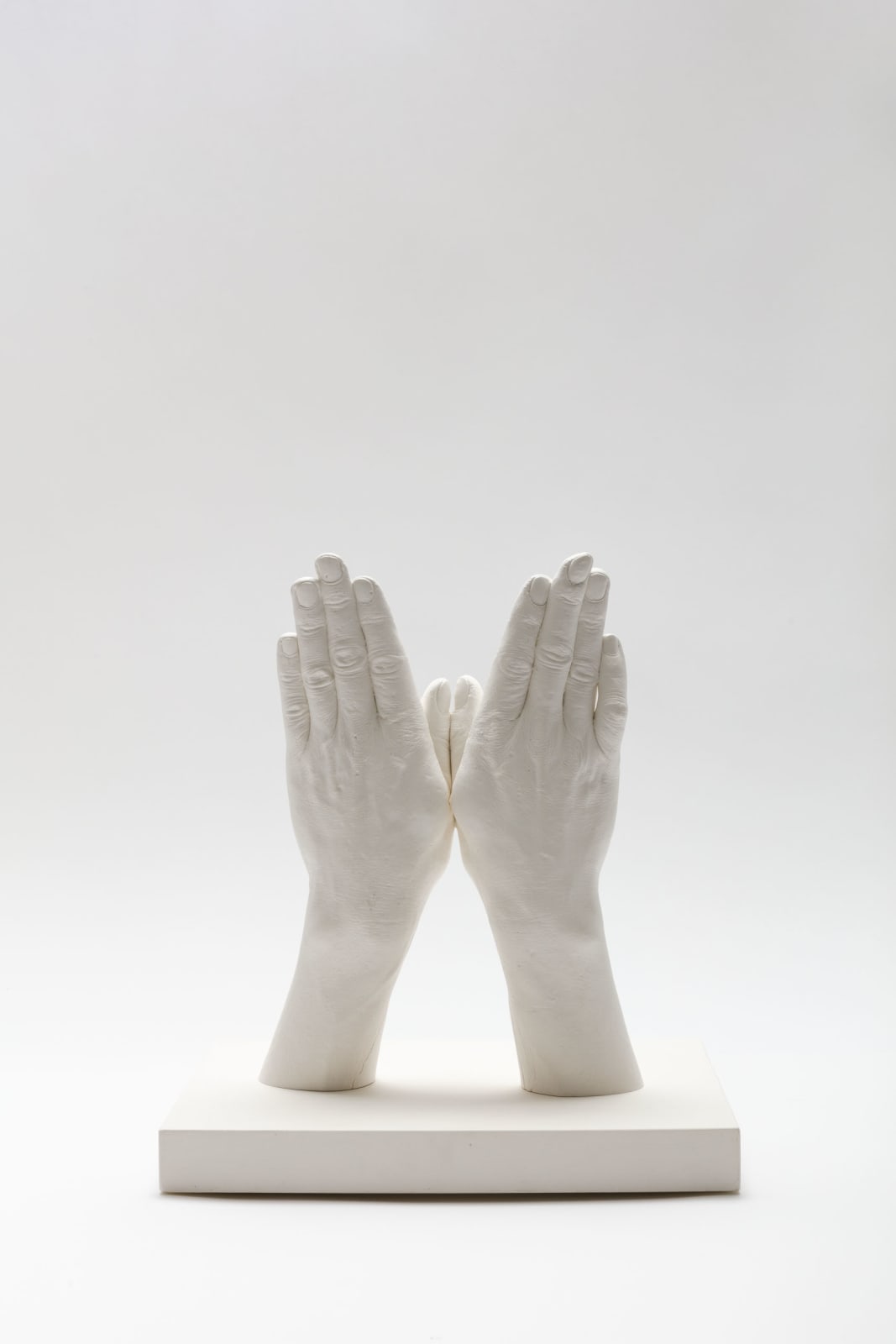 Marcus Coates, Xerces Blue Butterfly, 2019