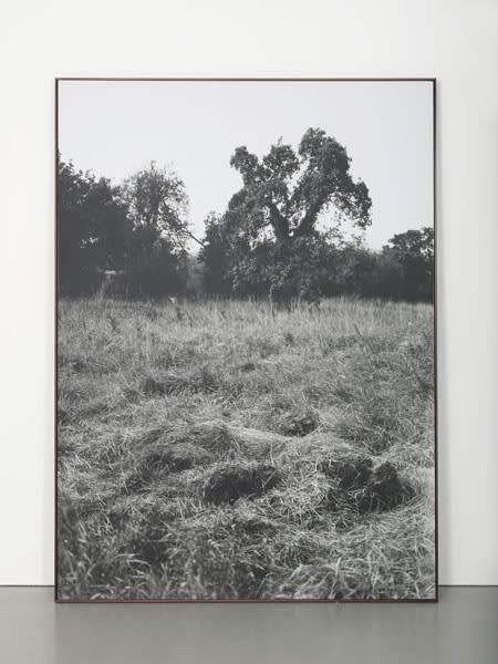 Marcus Coates, Self Portrait Underground (Worcestershire), 1998