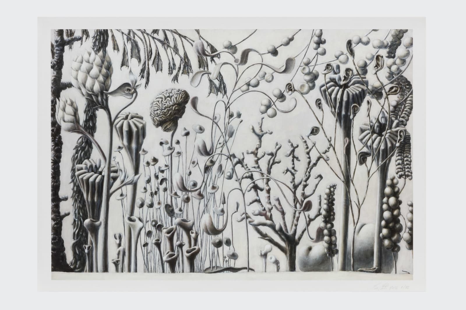 Marcus Coates, Between Stories, 2024